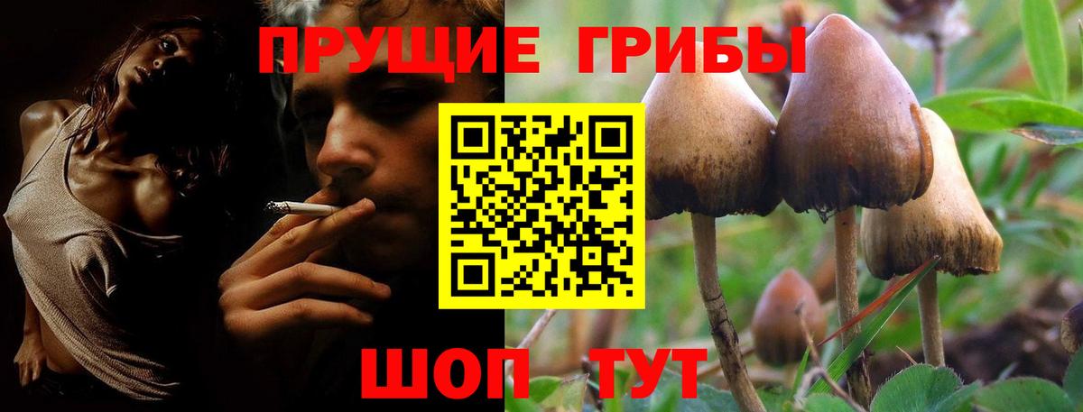 Оренбург  Псилоцибиновые грибы Magic Shrooms  Вход с VPN 